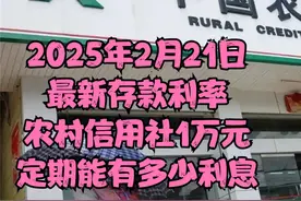 2025年2月21日最新存款利率：农村信用社1万元定期能有多少利息？视频封面