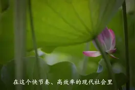 在这些方面，男人越“高冷”，女人越深爱你视频封面