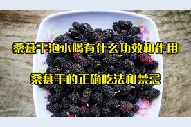 桑葚干泡水喝有什么功效和作用，桑葚干的正确吃法和禁忌