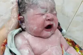 刚出生就突破13斤的宝宝你见过吗？简直太厉害了视频封面