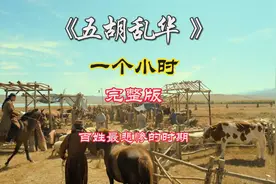 1小时看完五胡乱华历史 百姓最悲惨的时期视频封面