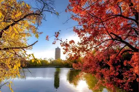 2024年度中国人工智能学会会士增选公示名单视频封面