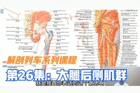 解剖真的非常重要，李正军医生通过肌肉脸谱图，详解大腿后侧肌群