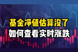 基金净值估算没了，如何查看实时涨跌？视频封面