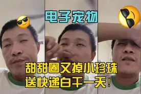 电子宠物甜甜圈王伟恒（二十二）：送快递白干一天甜甜圈又掉珍珠视频封面