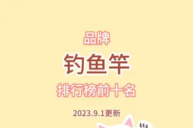 【数据评测】品牌鱼竿排行榜前十名 排名第一名的不是汉鼎