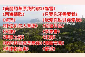 16首天籁藏歌<美丽的草原我的家><西海情歌><卓玛><天路><殇雪>