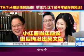 网友整理中文梗对照表！让美国人学习！蔡正元：今年最好的笑话！视频封面