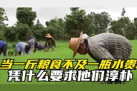 被低估的农民：当一斤粮食不及一瓶水贵时，凭什么要求他们淳朴视频封面