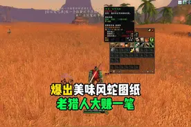 爆出美味风蛇图纸 老猎人大赚了一笔  #魔兽世界怀旧服 专家模式
