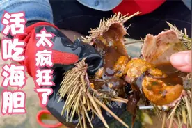 赶海抓到活海胆，现场撬开就吃，这女人真是太疯狂了！