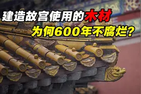 建造故宫时使用木材来自哪里？木材历经600多年，为何不会腐烂？视频封面