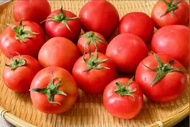 腌西红柿的季节到了，1次买20斤腌起来，方法简单，吃一年不怕坏