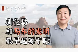 驯化马和马车的发明，最早起源于哪？视频封面