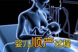 婴儿顺产过程3D动画展示