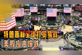 特朗普和全球打贸易战，美股应声暴跌，100年前的大萧条会重演吗视频封面