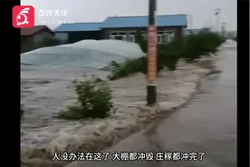 黑龙江五常暴雨致洪水淹村：庄稼泡水受损严重 产量将受影响视频封面
