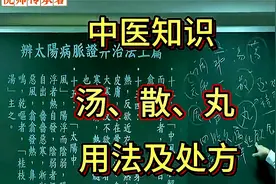 倪海厦：中医小知识，汤—散—丸的用法