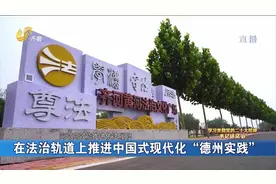 德州市委书记田卫东：在法治轨道上推进中国式现代化“德州实践”