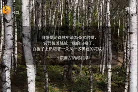 正片｜从东北泥土里长出来的故事——专访黑龙江省作协主席迟子建