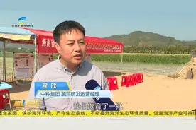 企科“揭榜挂帅”模式在三亚实践两年 实现科研成果的快速转化视频封面