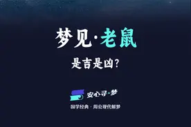 梦见老鼠，是吉是凶？国学经典《周公解梦》带你寻找梦境中的困惑视频封面