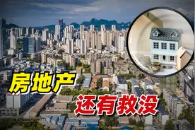 【九边】房地产还有救没？视频封面