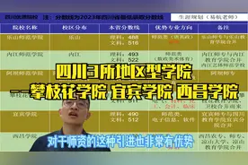 四川3所地区型学院--攀枝花学院 宜宾学院 西昌学院视频封面