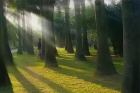 班得瑞神曲《天上人间》美不胜收！视频封面