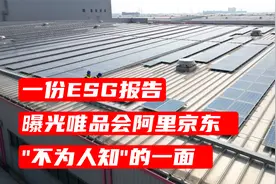 一份ESG报告，曝光唯品会阿里京东 “不为人知”的一面视频封面