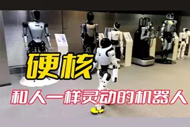 华为离职“天才少年”稚晖：我们造了跟人一样灵动的机器人！👍视频封面