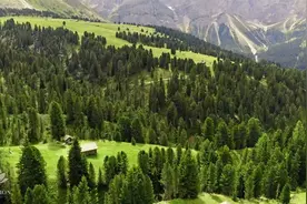 停止想太多，消除压力、焦虑，平静心灵，驱走一切不良能量 ★ 6