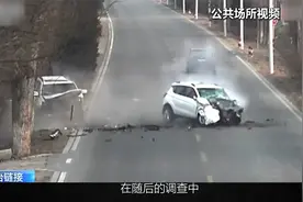 男子路怒症发作疯狂别车，致白车逆行司机死亡，获刑10年4个月视频封面