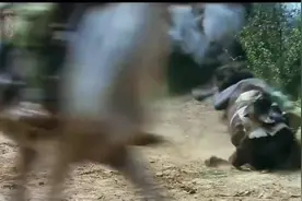 一口气看完解放大西北之咸阳保卫战.视频封面