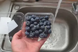 蓝莓用盐和清水洗，相当于吃虫卵，教你正确方法，虫子乖乖跑出来视频封面