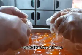 蛋黄酥里真的有蛋黄吗看完涨知识了美食纪录片蛋黄酥零食糕点_