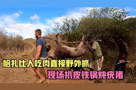 哈扎比人吃肉有多简单，十几条猎犬大战疣猪，直接现场扒皮铁锅炖
