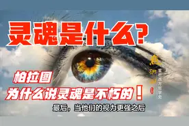 灵魂是什么？柏拉图为什么认为灵魂是不朽的？视频封面