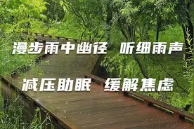 冥想助眠：细雨幽径，听雨声轻柔 放空大脑  缓解焦虑 释放压力