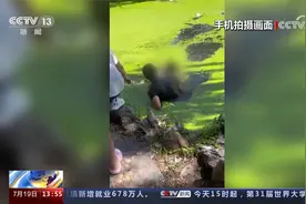 辽宁大连 男子奋不顾身跳水救人 满身绿藻摆手离去视频封面