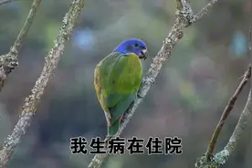 我生病在住院，儿子连打8个电话来，让我赶紧出院给亲家做饭视频封面