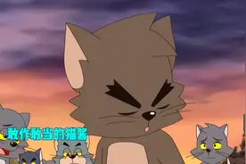 这只猫太优秀了，奈何剧本杀不让他多露脸，爆爆懒懒醉醉都不及他