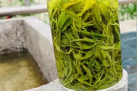 200一斤的信阳毛尖跟2万一斤信阳毛尖在炒制工艺上有什么区别呢？视频封面