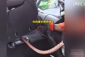 宠物蛇钻进汽车扶手箱，消防员爆笑抓蛇视频封面