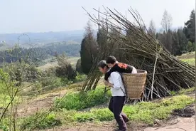 孙子被奶奶接走3年，儿媳不放心偷偷回乡，看到这画面太暖心了视频封面