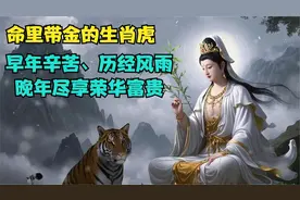 命里带金的生肖虎，早年辛苦、历经风雨，晚年尽享荣华富贵视频封面