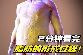2分钟看完脂肪形成的真相！我们该如何将它们排出体外？