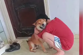 失而复得！男孩抱住走失了两次的狗子大哭，最后狗子的表情亮了视频封面