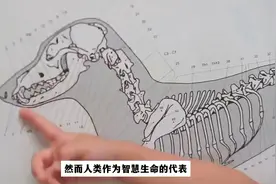 老祖宗进化过程中为何果断摒弃阴茎骨？现代网友：我想要一根视频封面