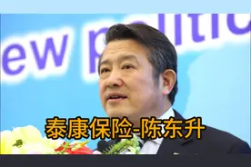 泰康保险创始人-陈东升